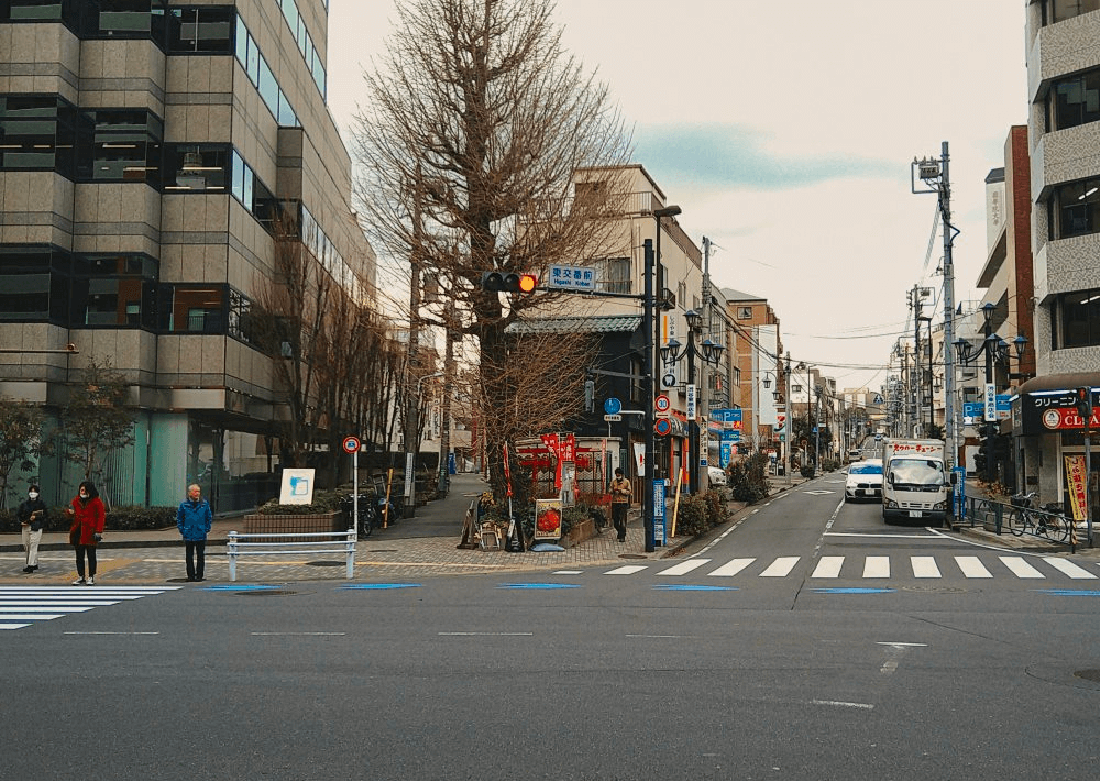 桜の木